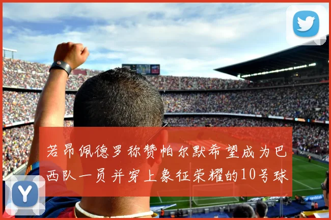 若昂佩德罗称赞帕尔默希望成为巴西队一员并穿上象征荣耀的10号球衣